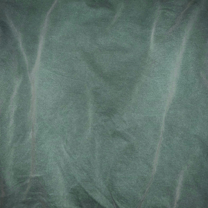 天体博客养眼105
