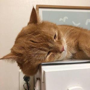 天体博客养眼105
